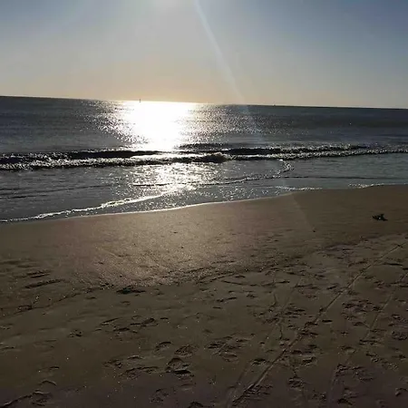 Apartment Studio Cosy Tout Confort Proche Gare Et Plage. Royan